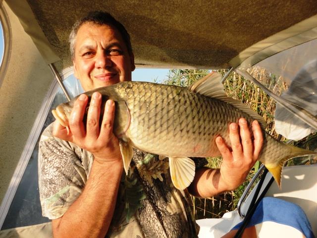 delta rosu 2011 - dsc00861.JPG